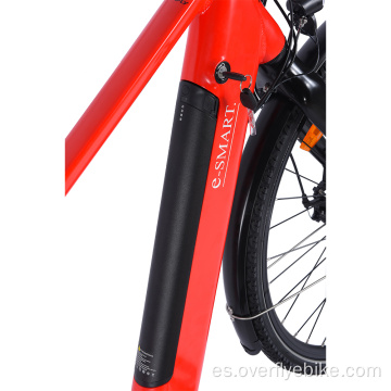 Bicicleta eléctrica XY-LEISURE intube design